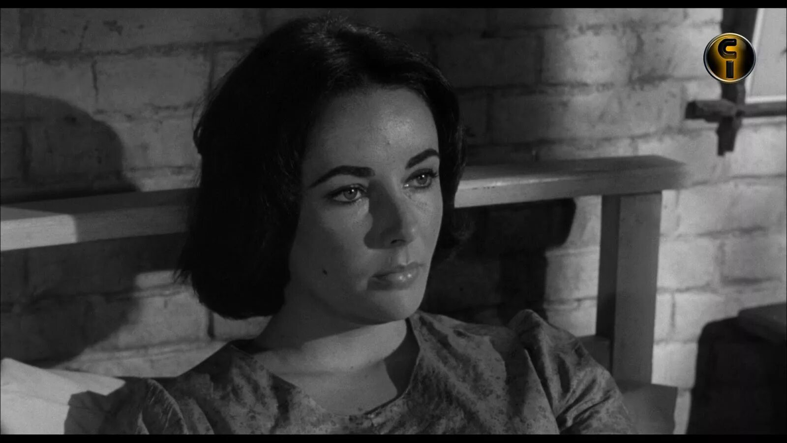 Элизабет Тейлор В Прозрачном Купальнике – Внезапно, Прошлым Летом (1960)