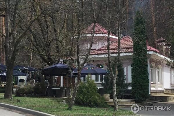 Кафе в парке кисловодска. Кафе старый парк кисловодск фото. Кисловодск кисловодский парк. Комсомольский парк кисловодск. Парк кисловодск кафе кафе.