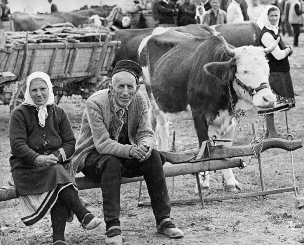 Деревенский колхозник. Колхоз. Сбор урожая в колхозе. Население колхоза. Крестьяне ссср.