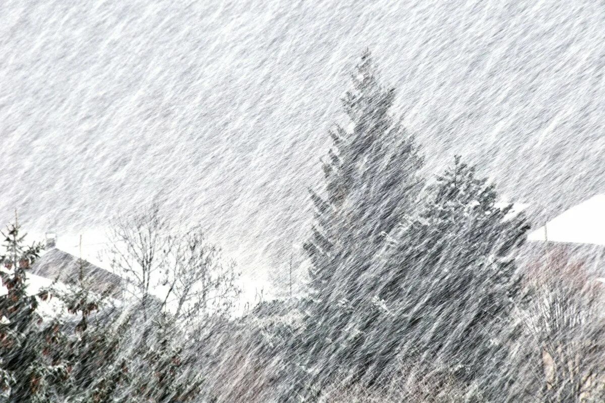 Музыка вьюга метель. Метель вьюга Пурга Буран. Снежная буря. Снежный ветер. Снегопад это явление природы.
