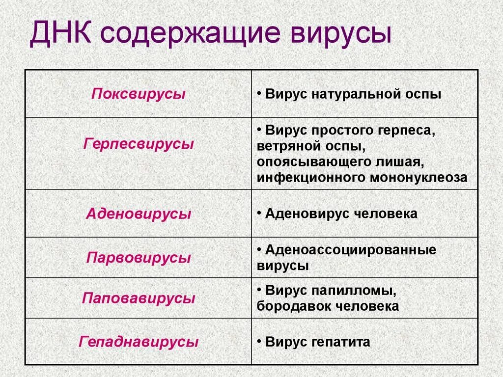 Вируса содержится