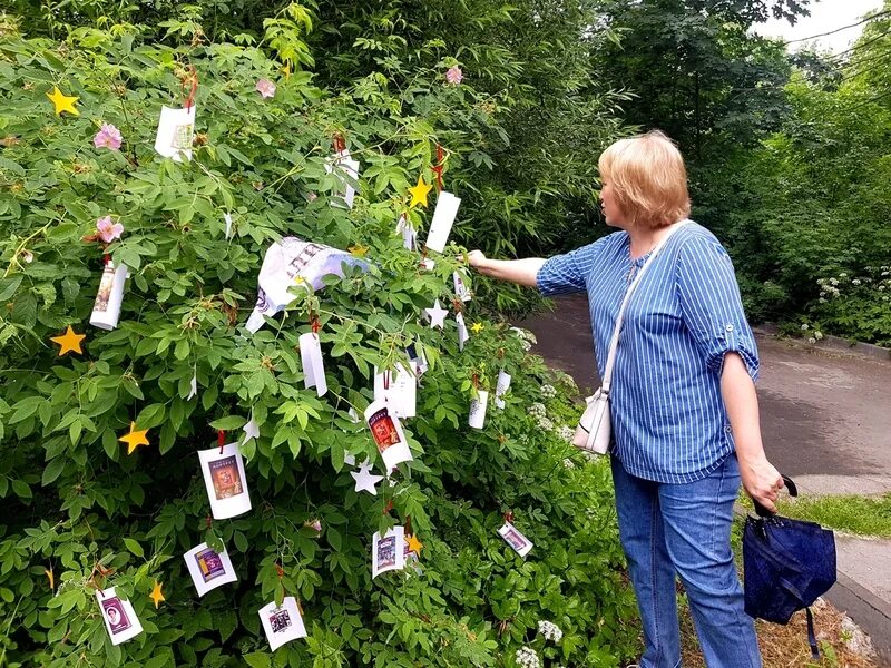 сегежа мост. сегежа 2022. сегежа 2022. новости сегежа. библиотечные площадки на день города.