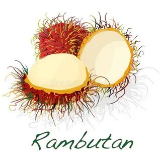 Rambutan fz шаблон кому лень писать
