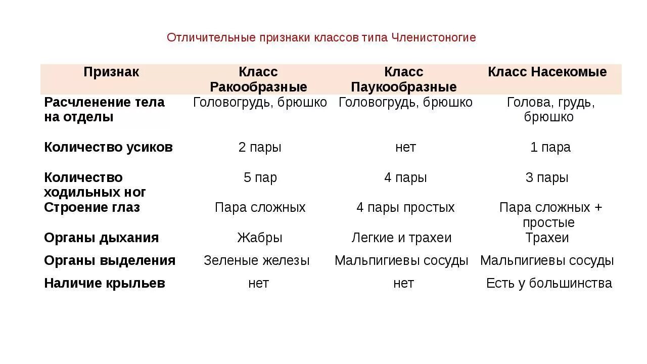 Таблица биология ракообразные. Классы ракообразные паукообразные насекомые таблица. Таблица ракообразные паукообразные насекомые. Биология 7 класс таблица ракообразные паукообразные насекомые. Общая характеристика хордовых 7 класс биология таблица.