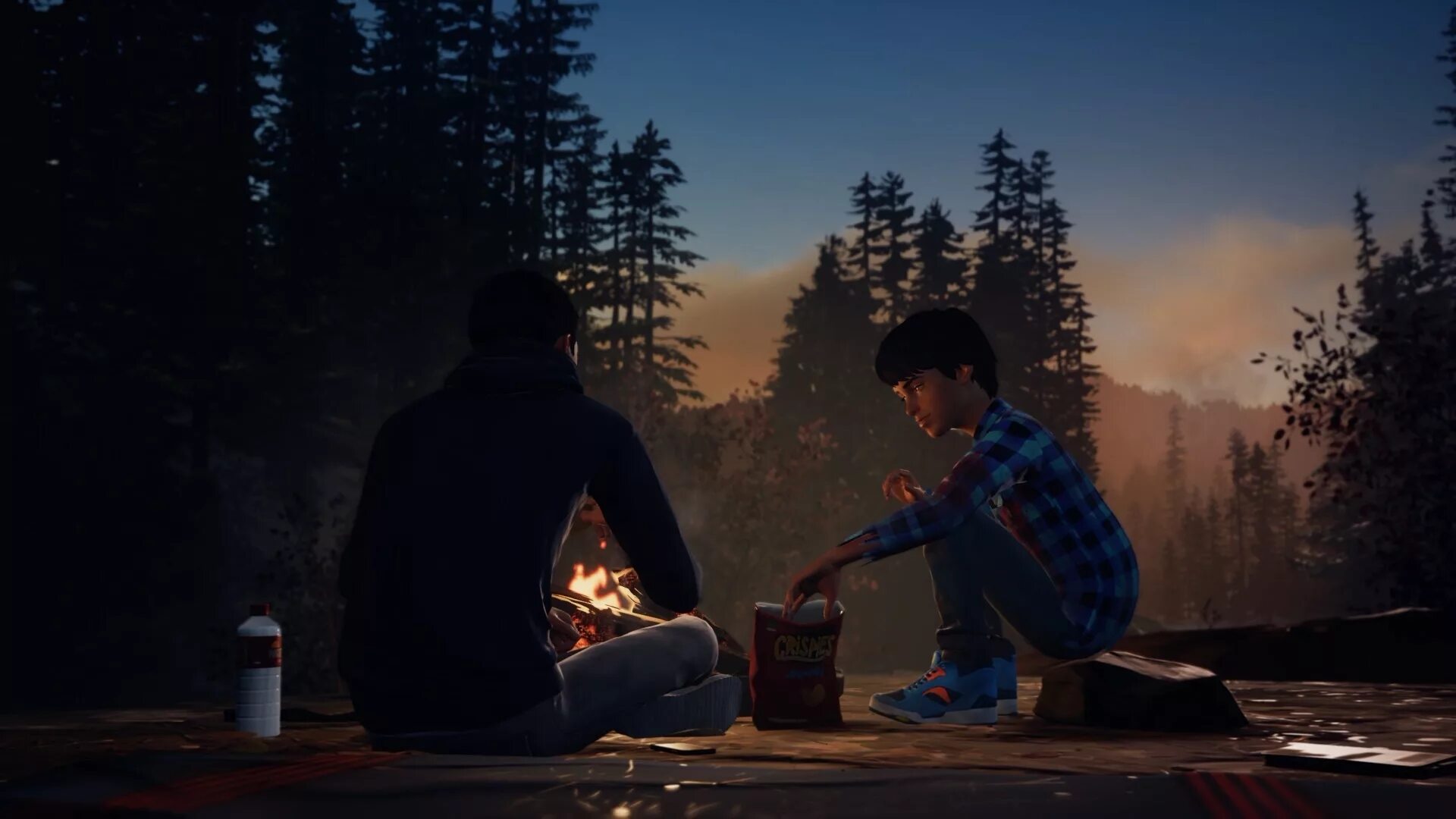 Life is Strange 2. Шон и Дэниел Life is Strange 2. Life is Strange Шон. Life is Strange 2 эпизод 2.