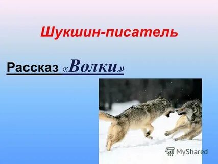 Рассказ шукшина волки