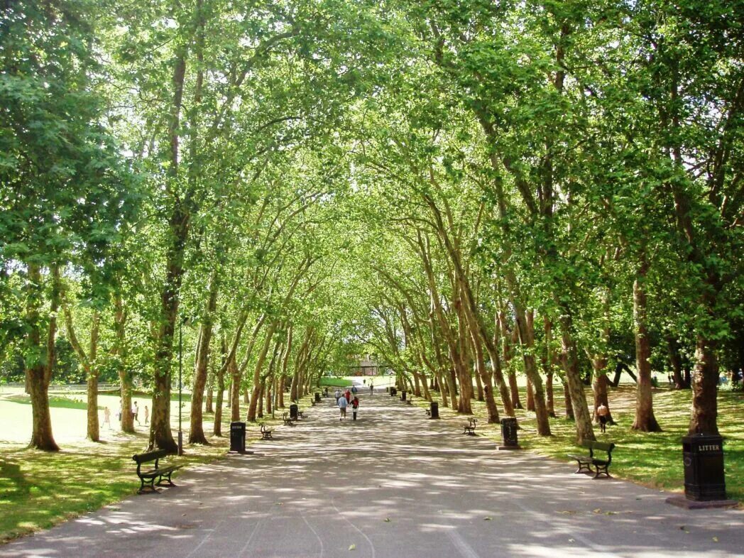 Парки для прогулок. Кристалл Палас парк. Crystal Palace Park London. Зеленая зона. Парк для прогулок.