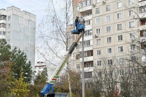 Киевский власиха