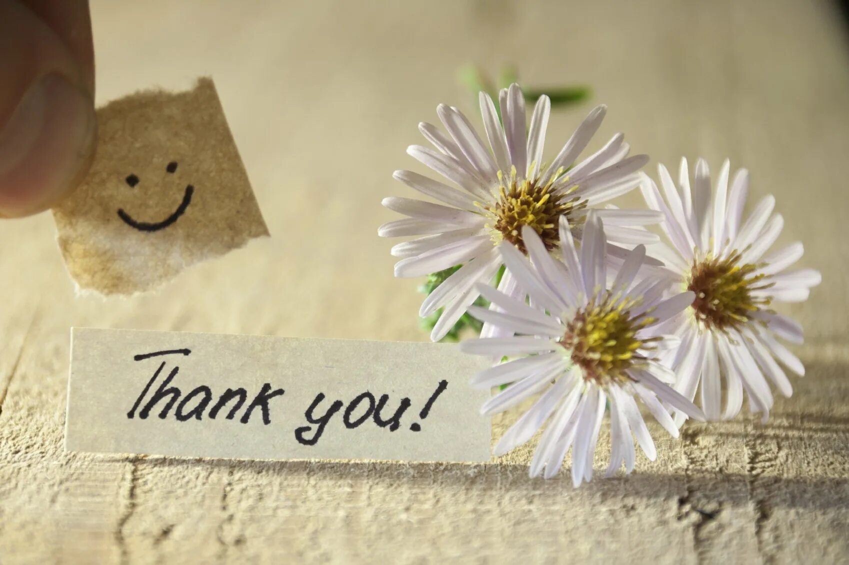 Thank you date. День спасибо. фото thank you. день спасибо стильные. стильные открытки thank you.