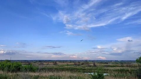 Чапаевский саратовская область