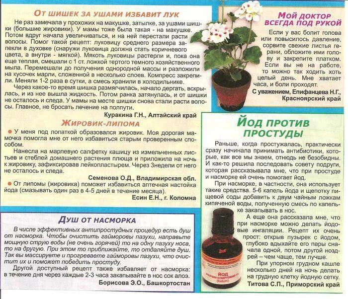 Чудо корень от насморка