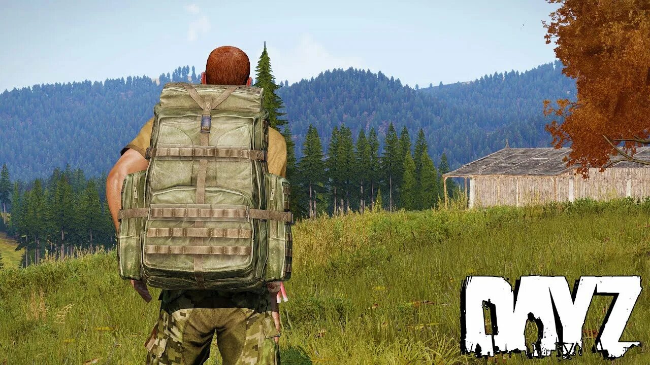 Арма дейз. В3с DAYZ. Тройка дейз. Арма 3 апокалипсис. Как установить арма 3