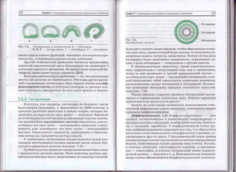 Биология 8 класс агафонова. Учебник по биологии 10 Захаров. Биология 10 класс Агафонова. Учебник по биологии 10 класс. Биология 10 класс учебник Агафонова.