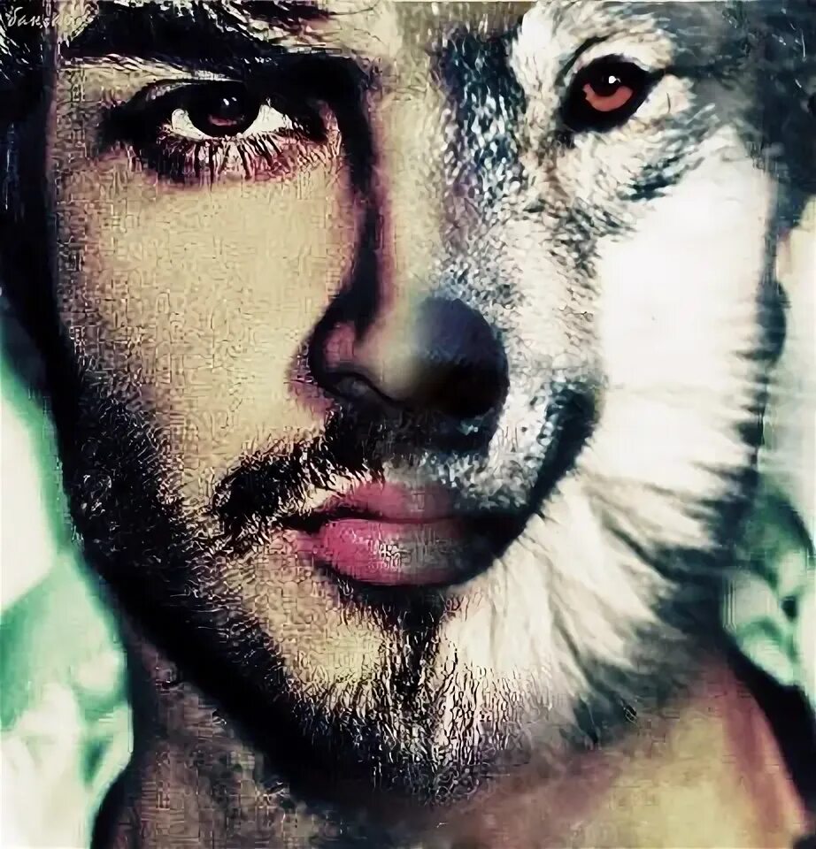 Derek-Teen Wolf Teen wolf derek, Teen wolf, Wolf