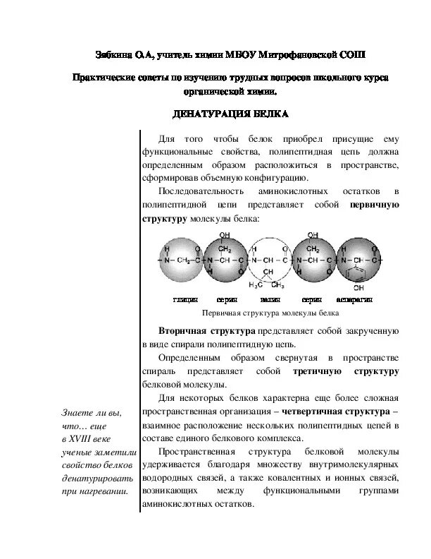 Практическая работа по химии белки