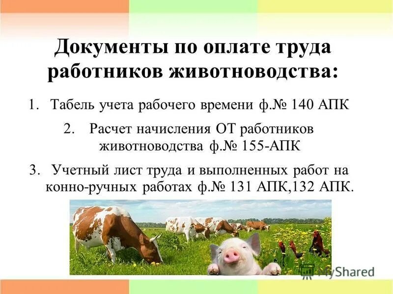 оплата труда работников животноводства