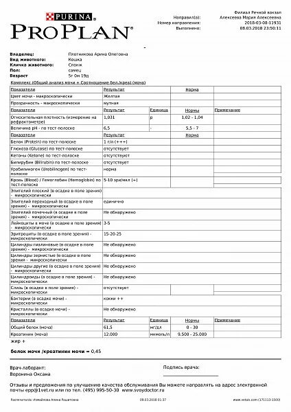 Общий анализ мочи уробилиноген норма. Уробилиноген в моче 34 мкмоль/л. Уробилиноген в норме в моче 34. Уробилиноген в моче положительный что это.