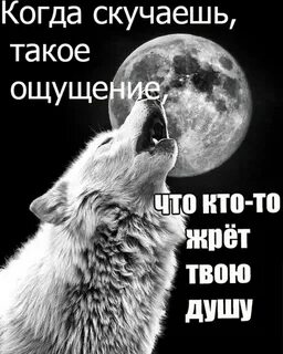 Ты кажется и не тосковала