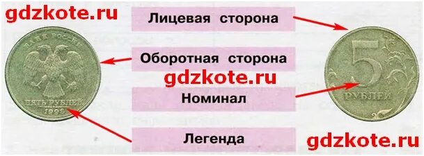 Номинал и Легенда монеты. Покажи стрелками части монеты. Части монеты 3 класс окружающий. Части монеты окружающий мир 3 класс. Чем схожи разные монеты 3 класс окружающий