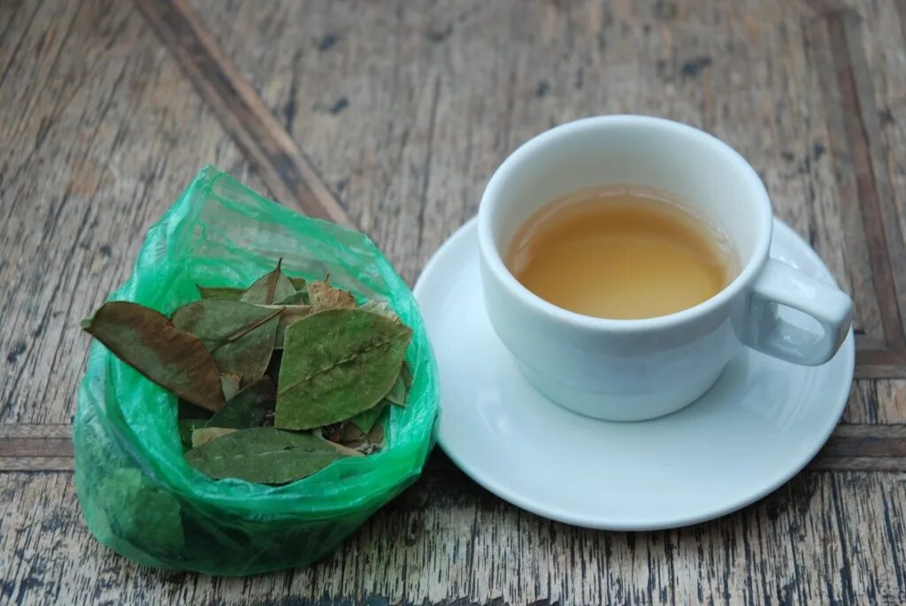 Чай лайк. Зеленый чай шишечки. Чай может заплесневеть. Китайский травяной чай в виде шишечек. Заварка мята.