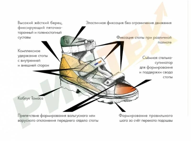 Поддержка свода. Конструкция ортопедической обуви. Ортопедическая обувь детали. Конструкция ботинок. Правильная ортопедическая обувь.