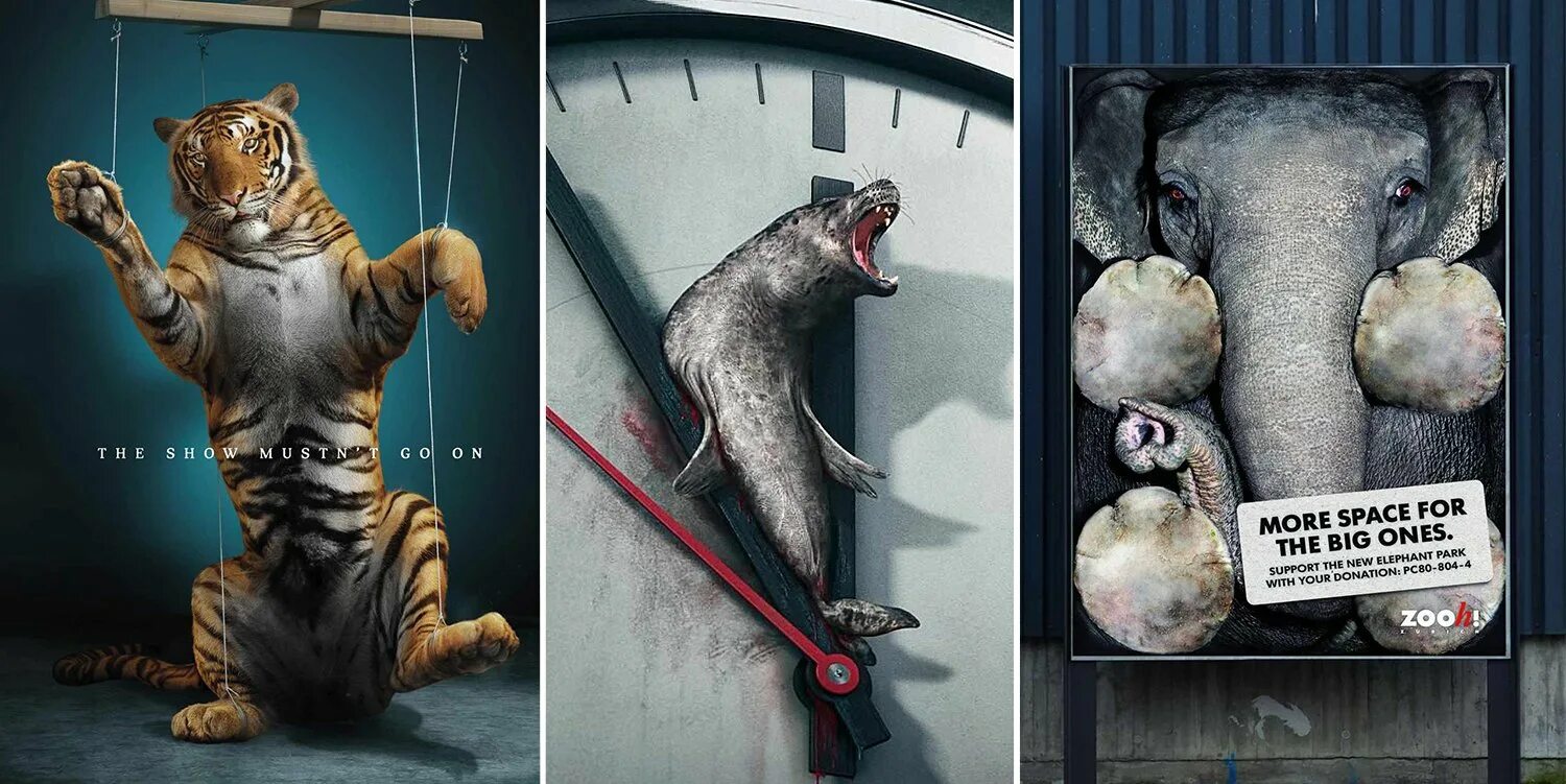 Использование животных в рекламе. Социальная реклама против животных в цирке. Социальные плакаты с животными. Социальный плакат защита животных. Слоган животное