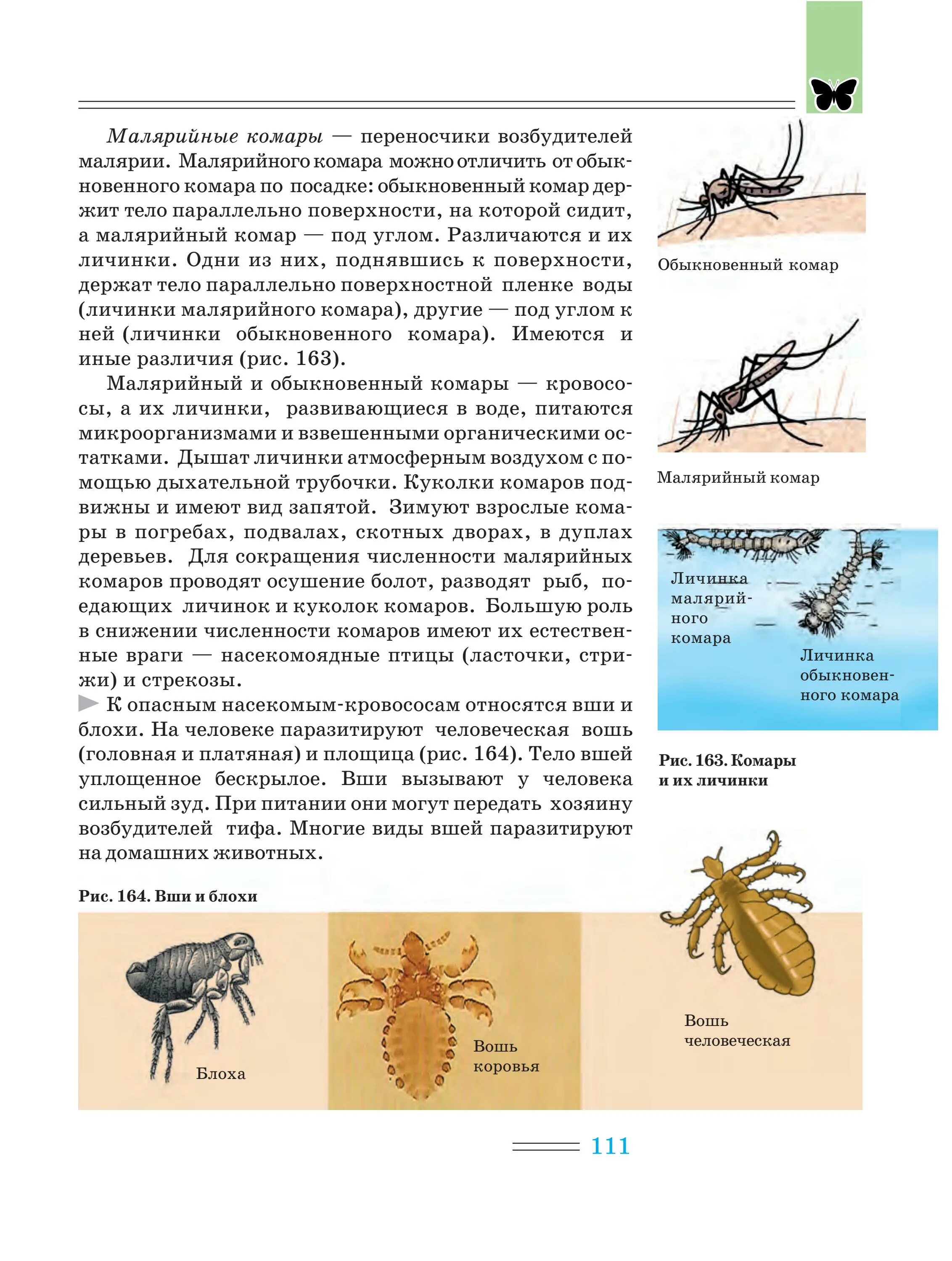 Комары переносчики заболеваний. Малярийный комар переносчик. Комары анофелес переносчики возбудителей. Профилактика от малярийного комара. Комар переносчик малярии.