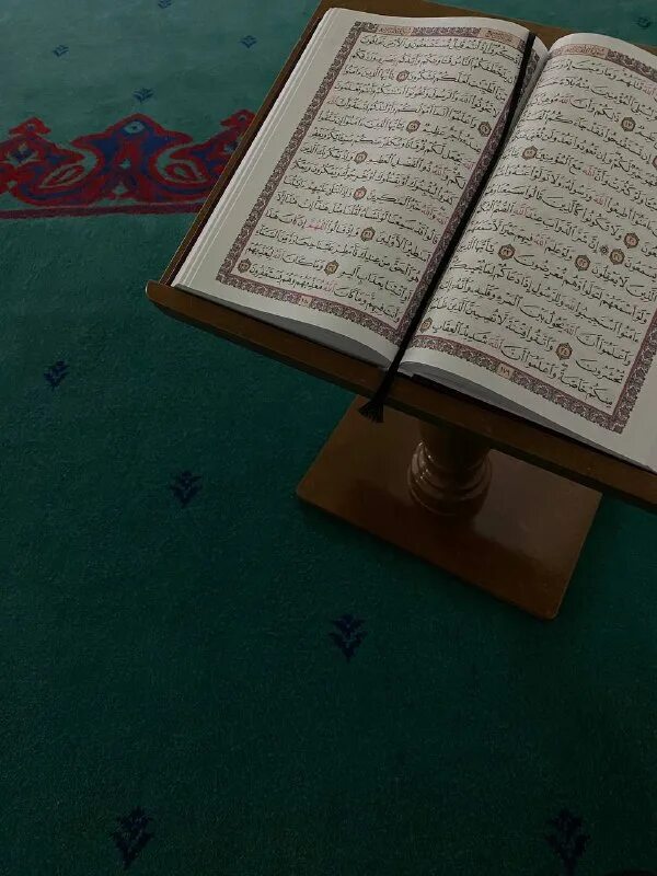 коран получить. мусульманские памятники книжка коран. коран получить. коран на русском. мусульманское право.