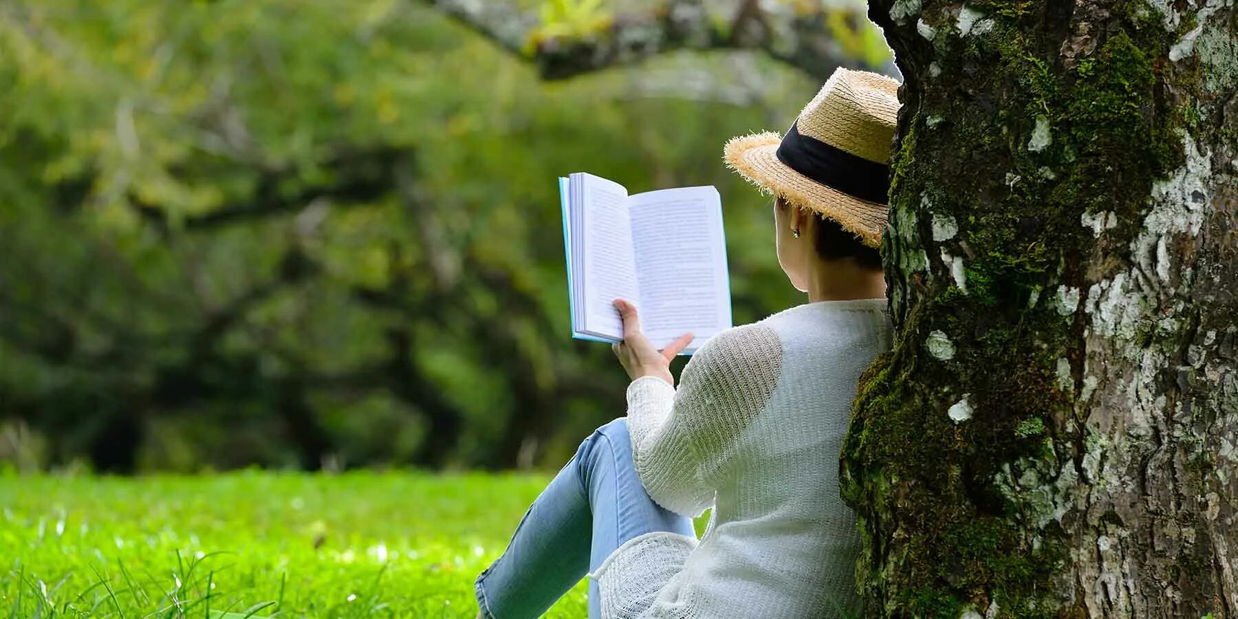 Reading что это. Лето с книгой. Книга человек. Чтение в парке. Чтение на природе.