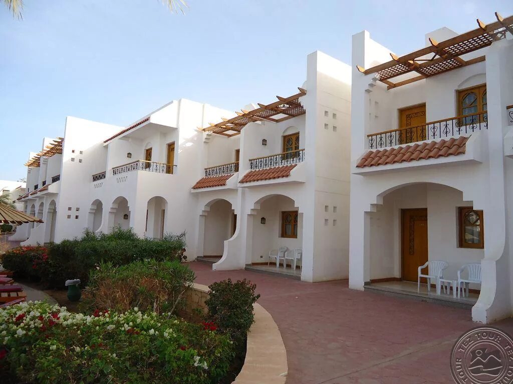 Dive inn resort 4 египет. Dive resort 4 шарм эль шейх. Dive resort 4 шарм эль шейх. Dive inn resort 4 египет. Dive inn resort 4 египет.