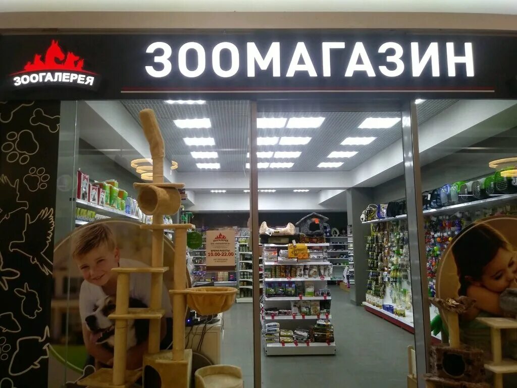 дизайнер продуктового магазина. выкладка товара. небольшой продуктовый магазин. супермаркет изнутри. выкладка бытовой химии.