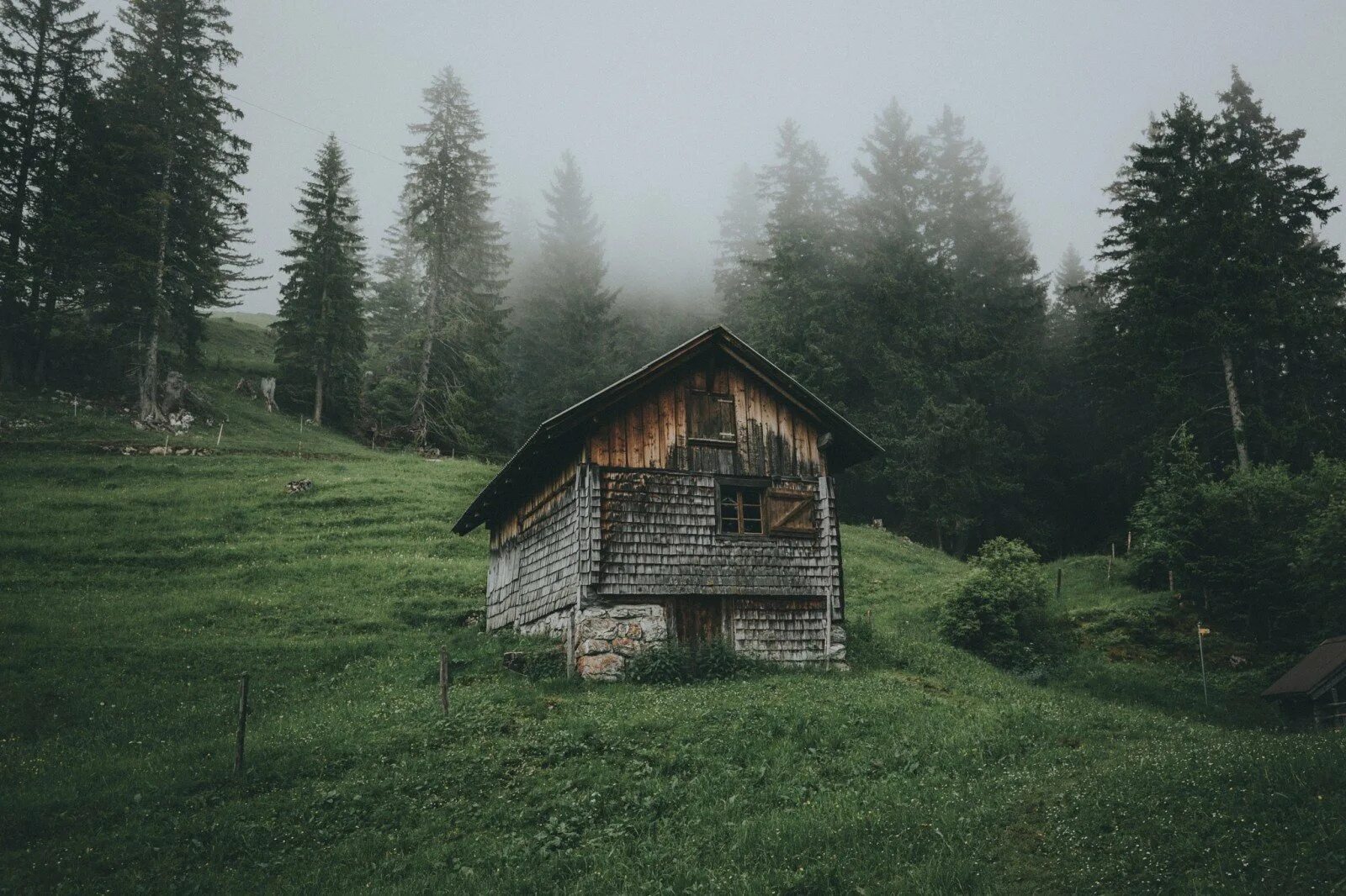 Лес дождь дом. Хаттфьелльдал норвегия избушка. forest house хижина в лесу. лесная хижина финляндия. боровецкий лес дом отшельника.