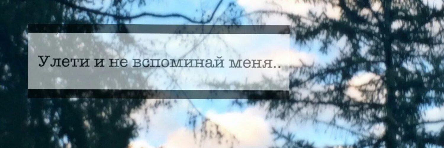 Заранее вспоминай меня. Улети и не вспоминай меня. вспоминай меня. улетит и не вспоминай меня. не вспоминай.