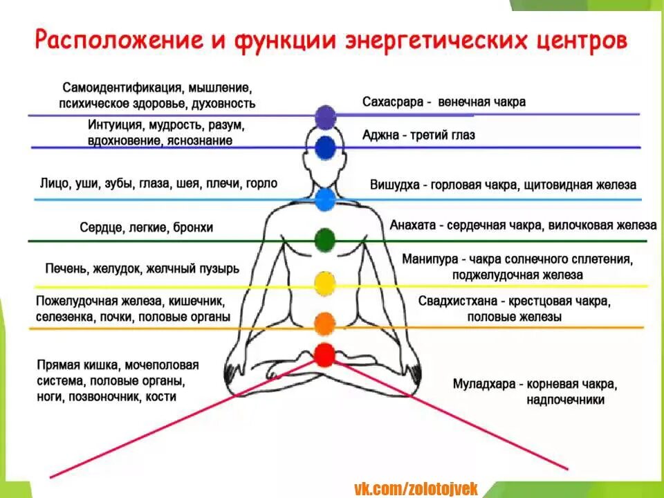 Энергетические центры человека чакры. 12 Чакровая система человека. Свадхистана чакра, Анахата. Чакры на теле человека схема. Чакры названия и расположение