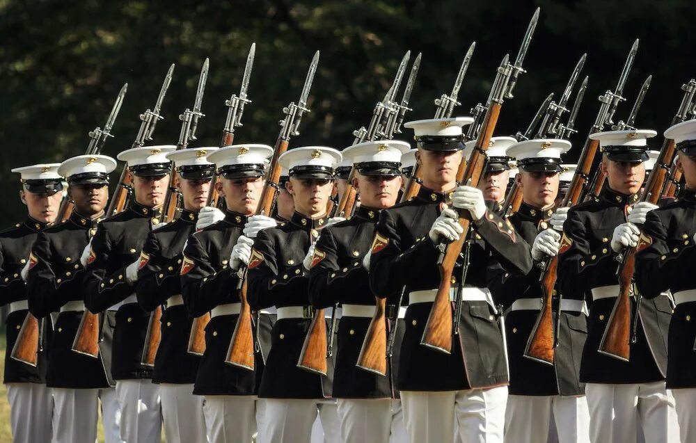 Армия могучи. Парад вооружения США. Камуфляж на параде. USMC Parade uniform. Дисциплина душа армии.