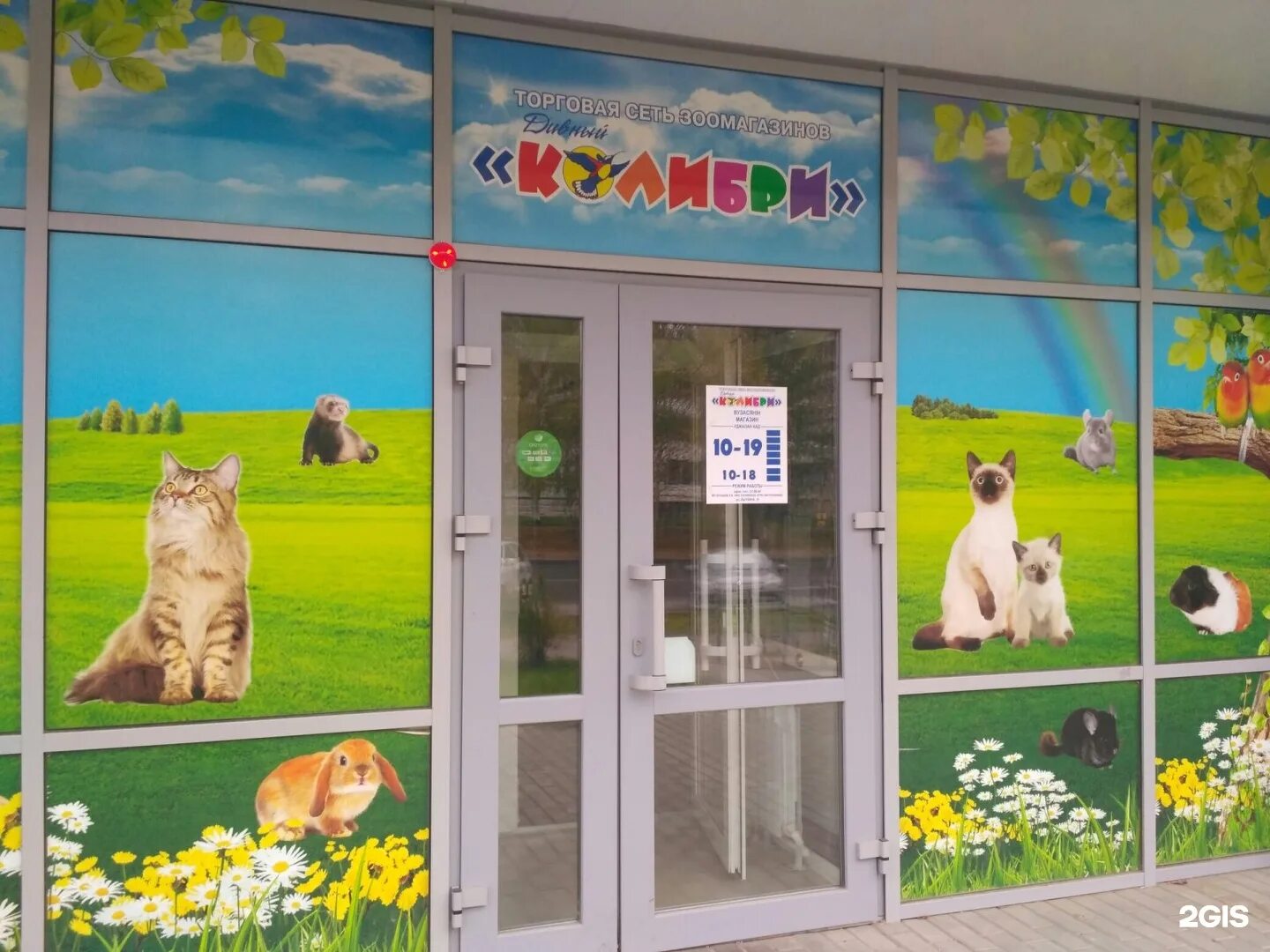 Магазин колибри ленинский 43. Колибри эжва. Колибри эжва. Республика коми сыктывкар улица пушкина 59 колибри. Колибри эжва.