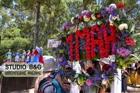 1 мая день цветов