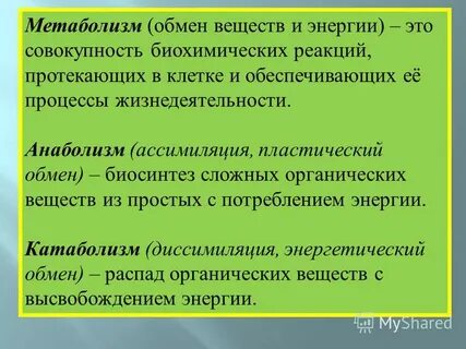 Энергетический обмен это совокупность химических реакций