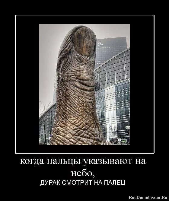 афоризмы про дураков. любая женщина на свете какой бы милой не была умеет делать куклу. работа дураков любит. торопитесь жить цитаты. дураку полработы не показывают смысл.