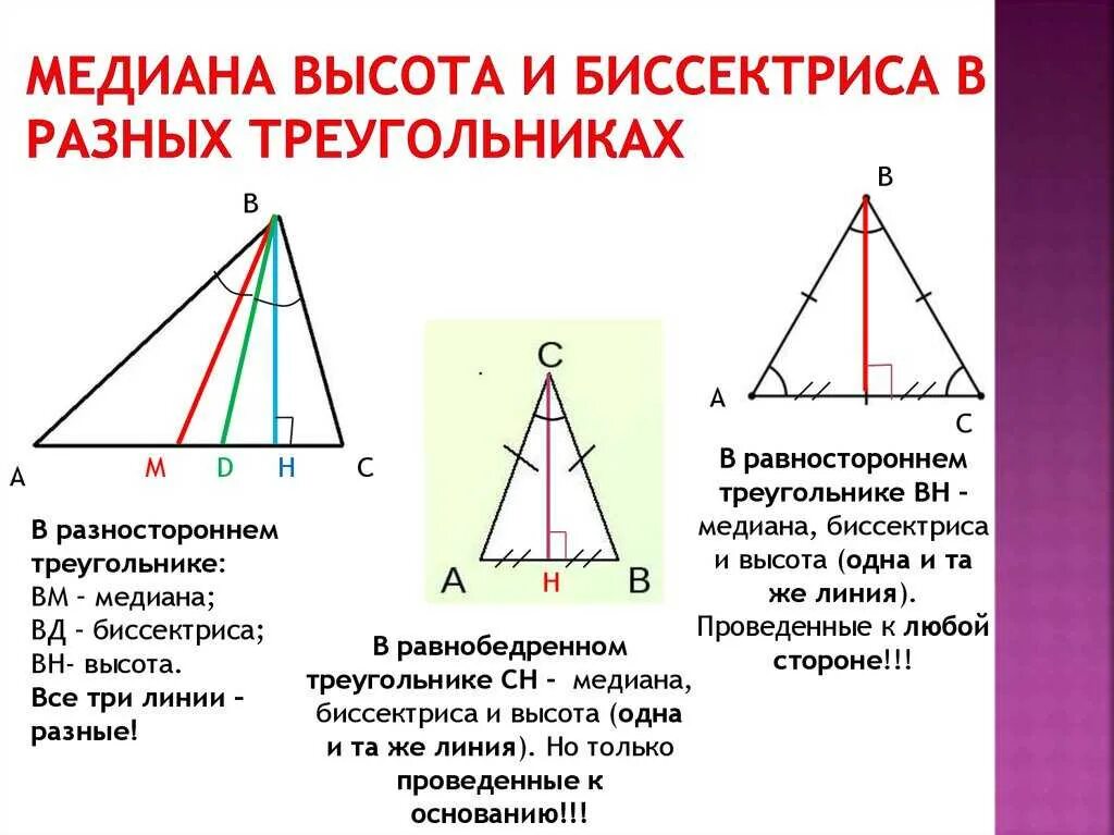 Треугольник биссектриса медиана высота рисунок