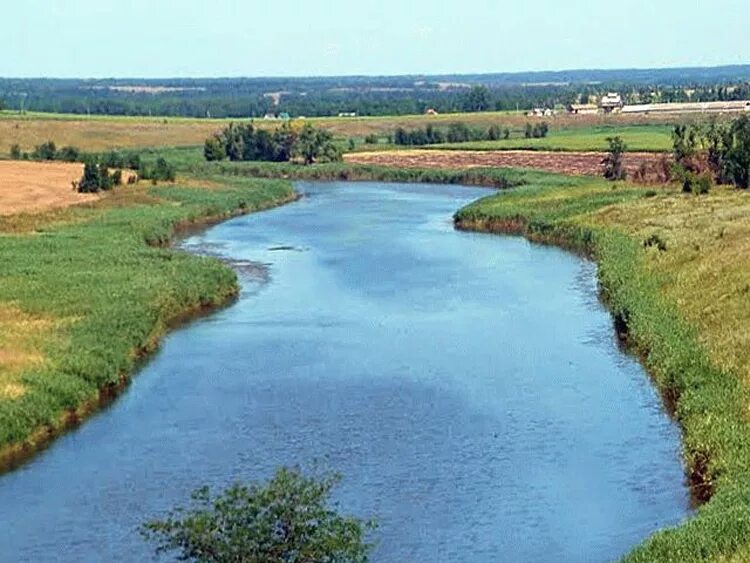 Река ея Старощербиновская. Река ея Краснодарский край станица Старощербиновская. Исток реки ея Краснодарский край. Станица Новопокровская река ея. Река ея рассказ