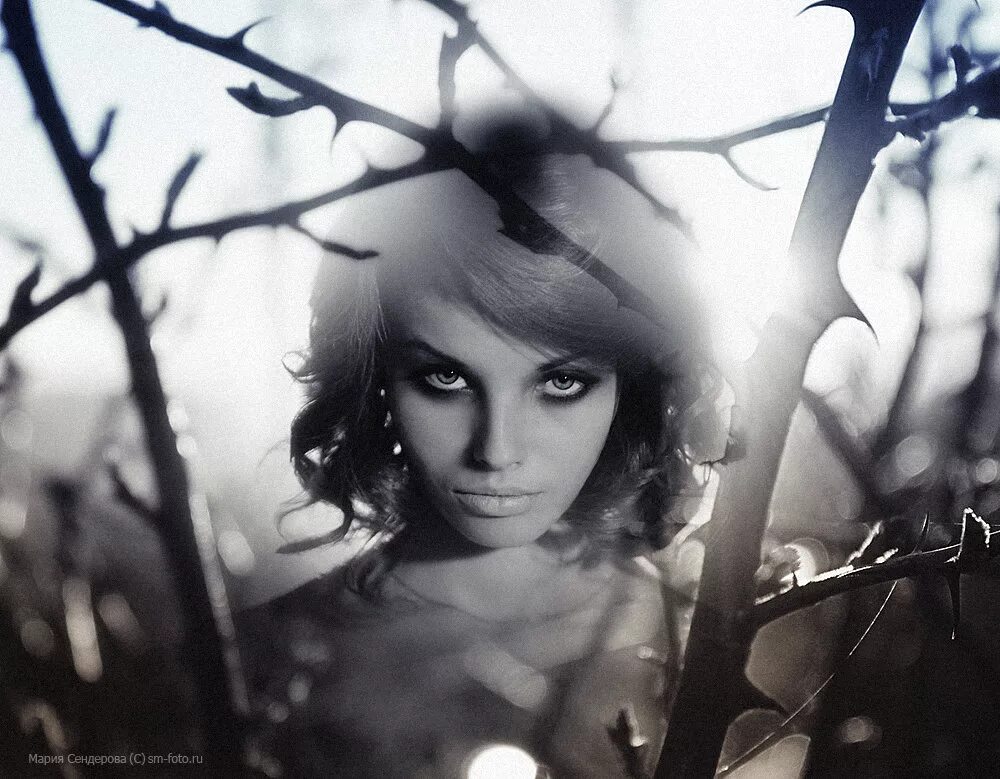 песня со взглядом волчицы. песня со взглядом волчицы. красивая девушка с волком. эмили петрова. песня маленькая девочка со взглядом волчицы.