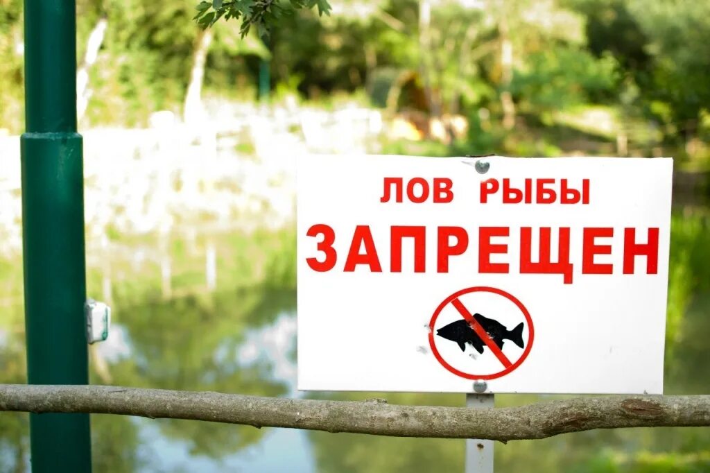 Нерестовый запрет лодка. Нерестовый запрет лодка