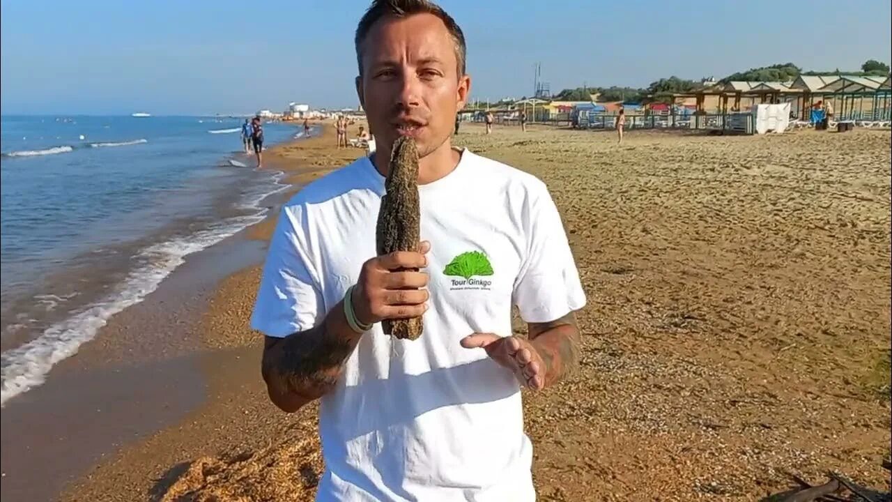 Цветет ли море в витязево 2025 сейчас. Витязево 2025. море в витязево в июле. охта анапа.