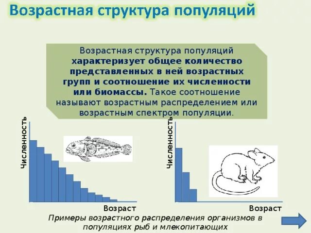 Типы половозрастной структуры популяции. Сложная возрастная структура популяции. Структура популяции примеры. Структура популяции по возрасту.