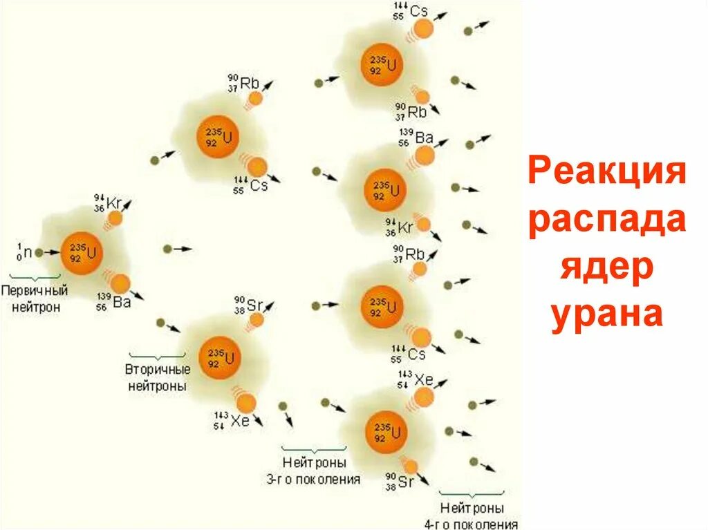 Схема цепной ядерной реакции урана. Схема цепной ядерной реакции деления. Цепная реакция деления в ядерном реакторе. Схема протекания цепной ядерной реакции. Какими нейтронами делится уран 235