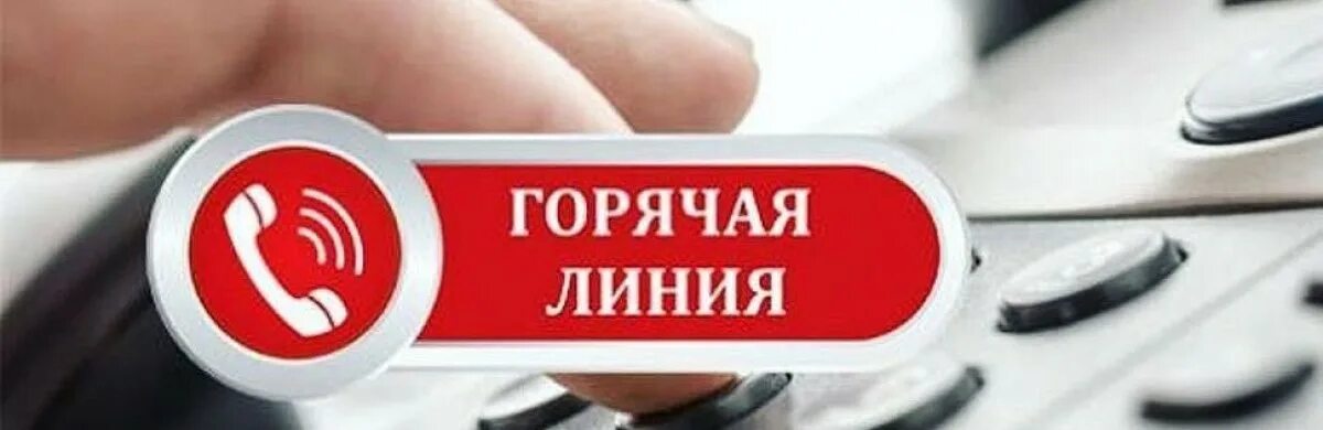 Налоговая сайт горячая линия. Горячая линия. Защита прав потребителей горячая линия. Внимание! Организована «горячая линия»!. Горячая линия роскадастр.