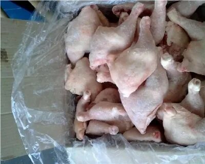 Куры оптом от производителя