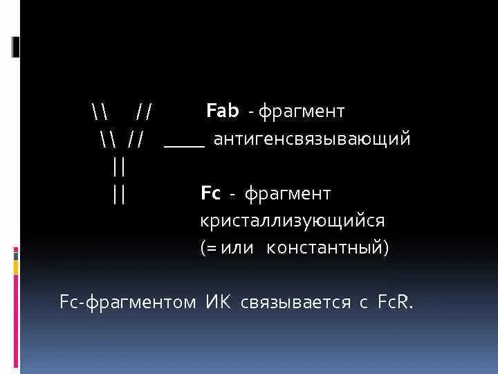 Fab фрагмент антитела. Fab и fc фрагменты антител. fab (фрагмент, антигенсвязывающий. fc и fab фрагменты.