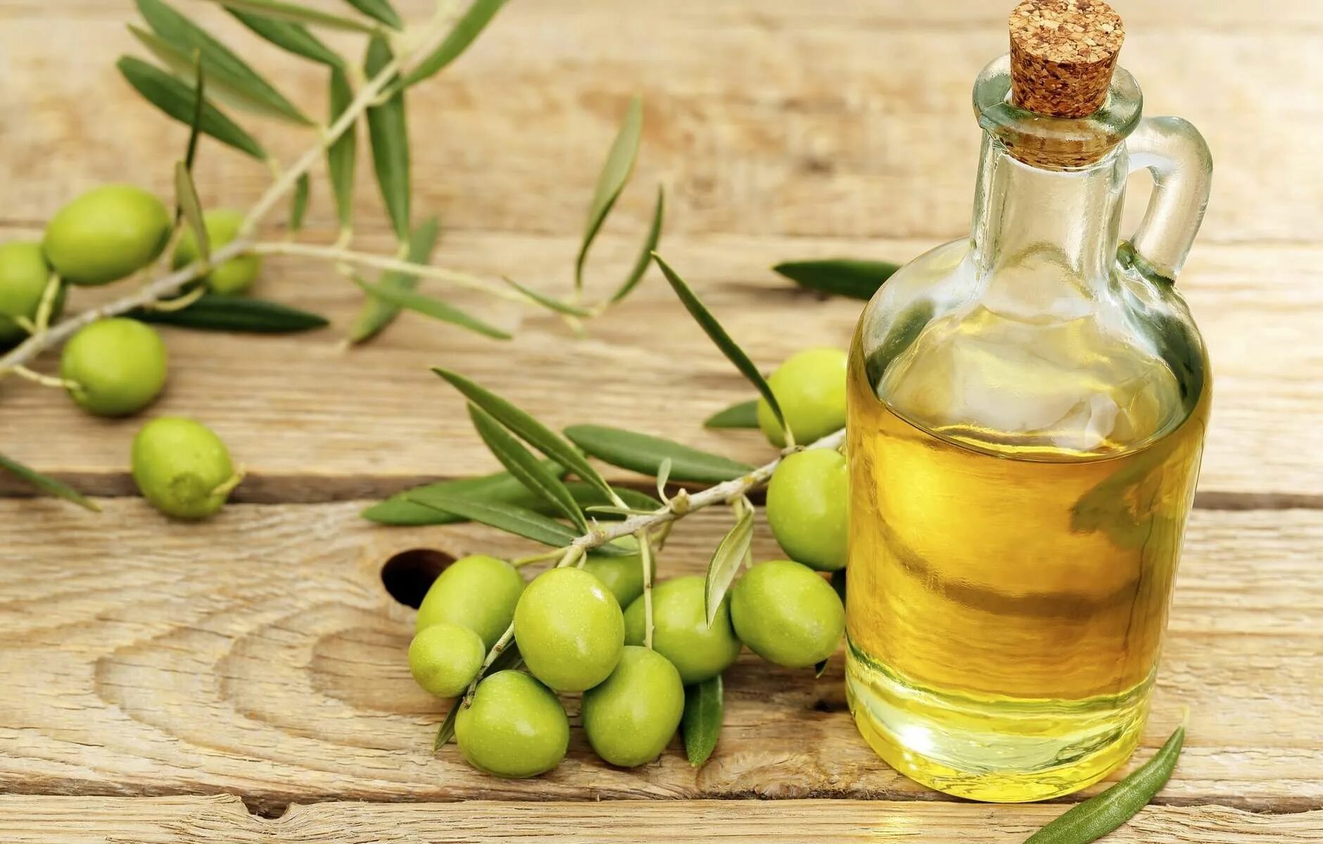 Olive Oil масло оливковое. Олив Ойл масло оливковое. Зайтун меваси. Olive Olive для масла.